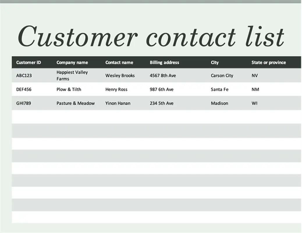 Basic customer contact list preview